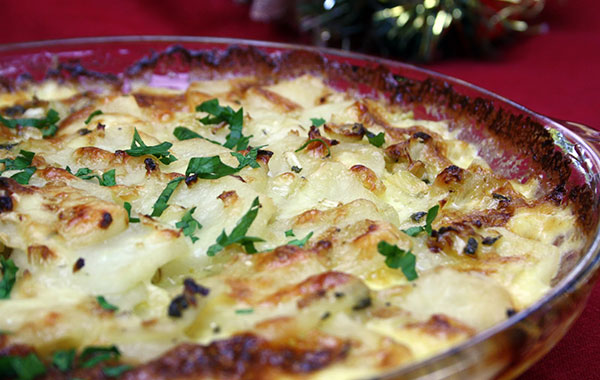 fennel gratin recipe